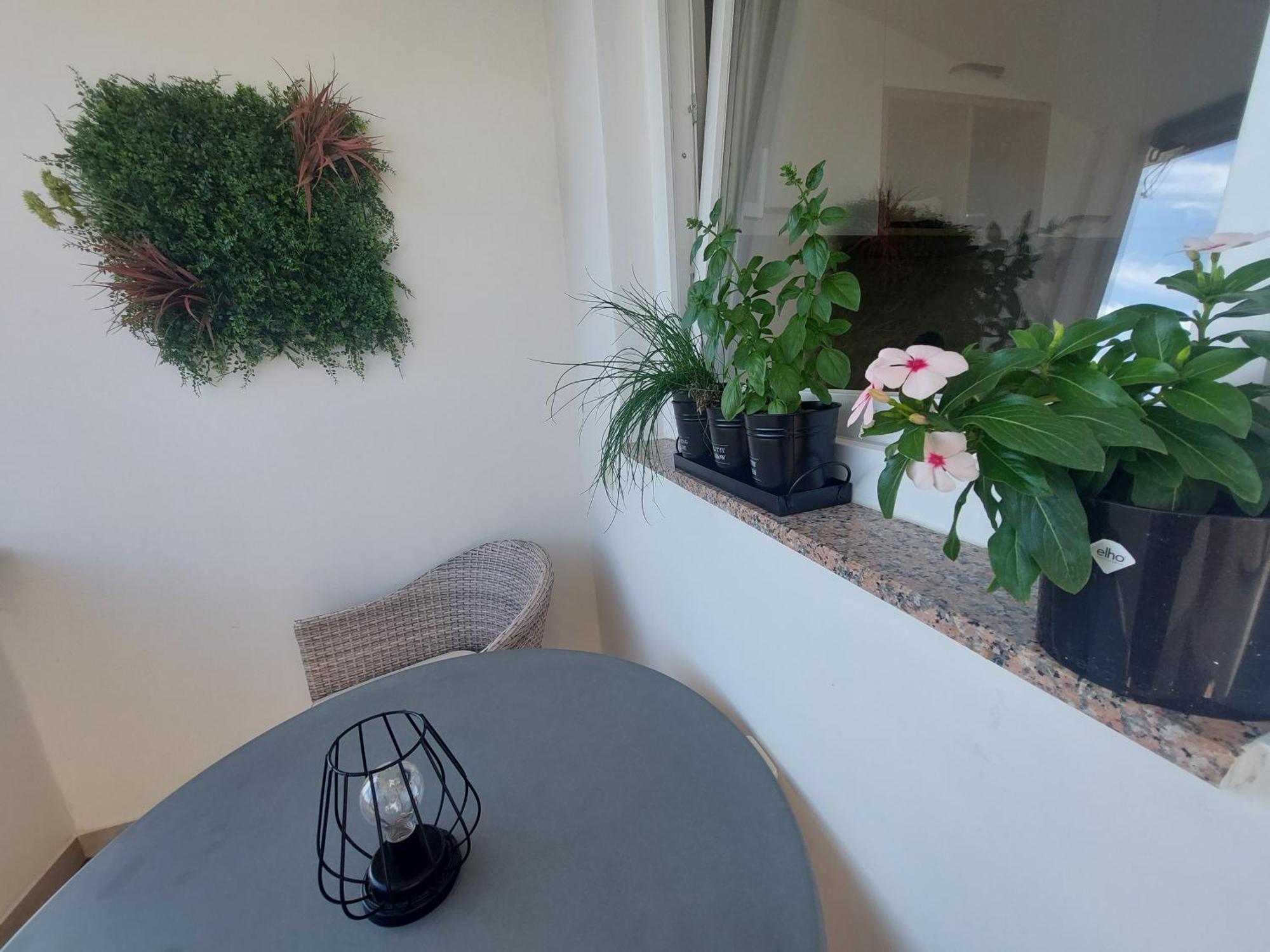 Petra Rooms And Apartments Palit Номер фото